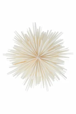 Jotex Jouluvalot^AVOIR ø 56 Cm Joulutähti