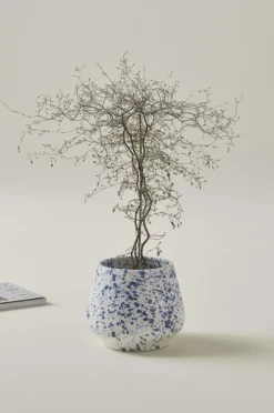 Jotex Ruukut^BELLADONNA Ruukku, ø 18 Cm