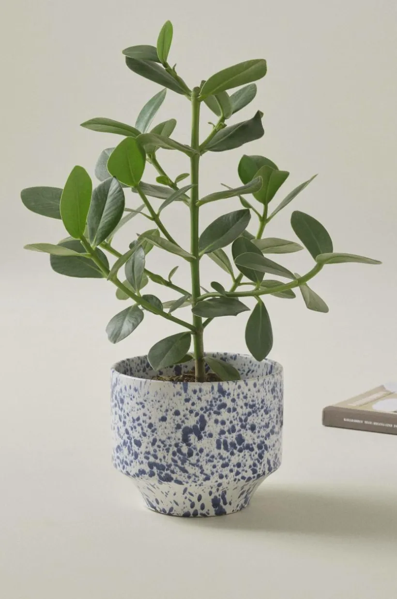Jotex Ruukut^BELLADONNA Ruukku, ø 21,5 Cm