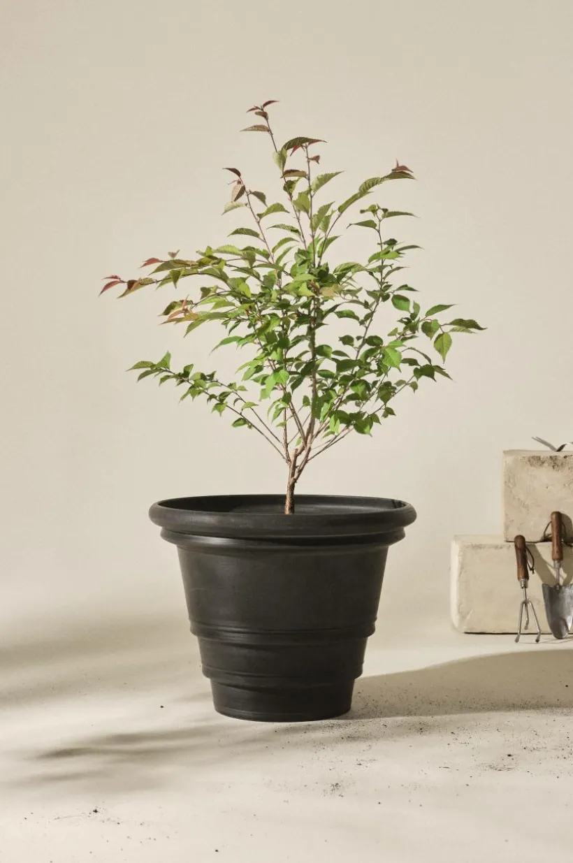 Jotex Ulkoruukut|Ruukut^HOLLY Ulkoruukku, Halkaisija 56 Cm