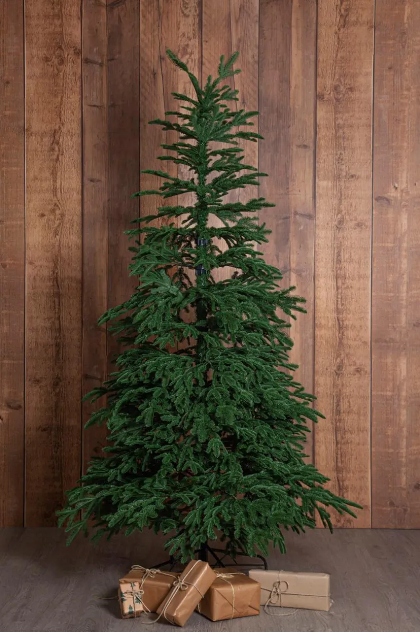 Jotex Ulkovalaisimet|Ulkovalaisimet^Joulukuusi Edane 210 Cm