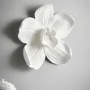 Jotex Seinäkoristeet^ORCHID Seinäkoriste Iso