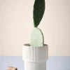 Jotex Ruukut^RUBY MAE Ruukku ø 21 Cm