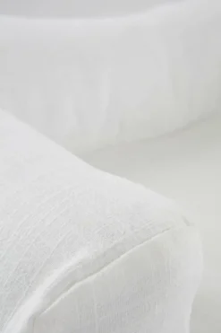 Jotex Koiran Peti/Kissan Peti^SIDNEY Koiran Peti/kissan Peti