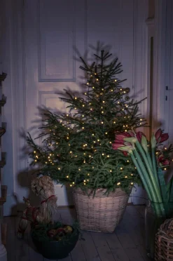Jotex Jouluvalot^TREE Valojohto Joulukuusi